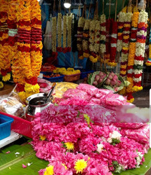 Syed Alwi Road (D8), Shop House #228663101